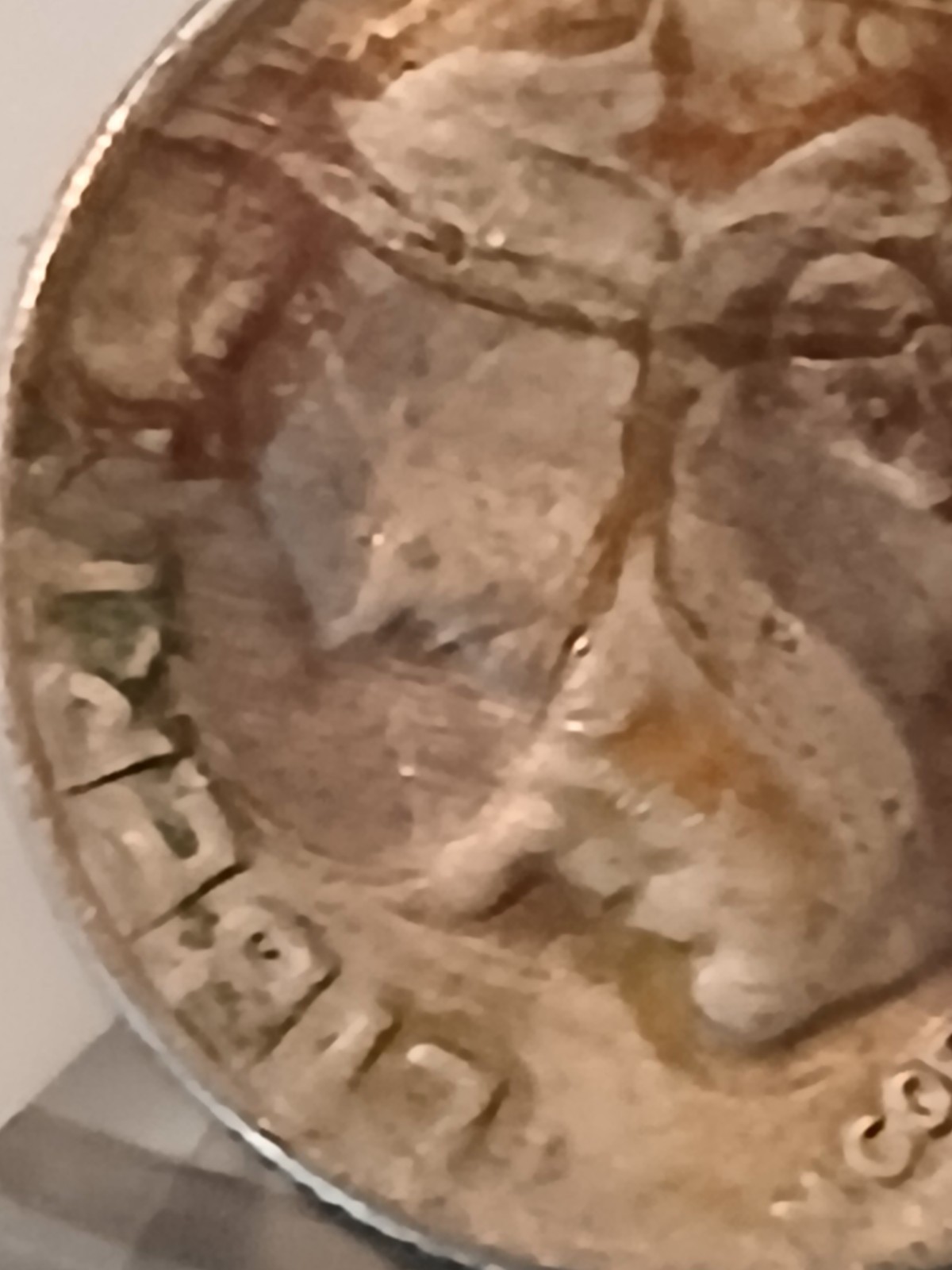 Picture 8 of 18