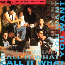 New Kids On The Block - Call It What You Want (VINYL)