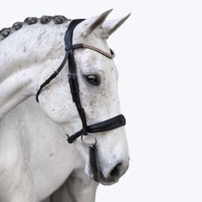 'Madeline' Rolled Leather Bridle (Cavesson)