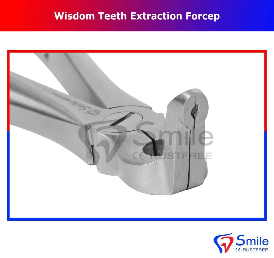 Dental Plucking Teeth For Wisdom Teeth Special Impacted Tooth