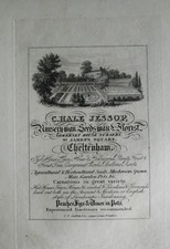 1826 ANTIQUE CHELTENHAM PRINT TRADE ADVERT C HALE JESSOP NURSERY SEEDMAN FLORIST