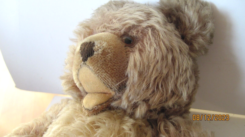 50'S VINTAGE ZOTTY TEDDY BEAR MOHAIR JOINTED 15'" NO BUTTOR LABEL - Picture 3 of 9