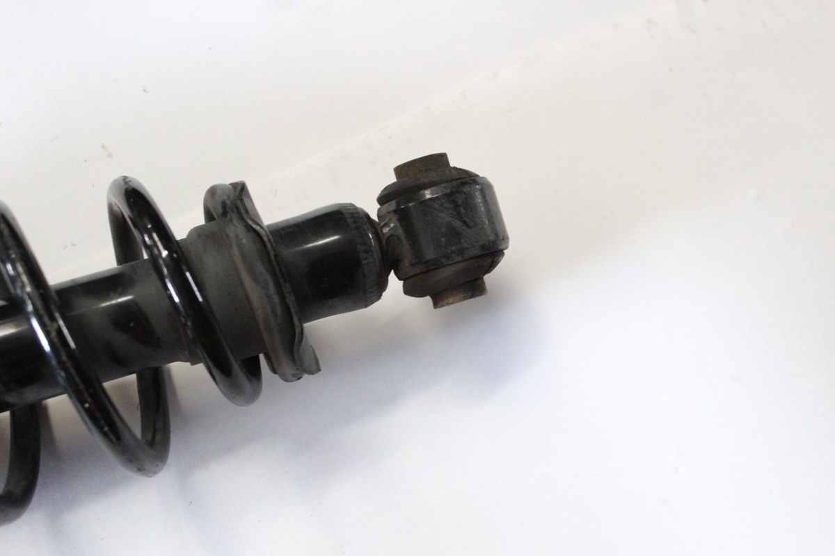 2000-2005 TOYOTA CELICA GT GTS REAR LH OR RH STRUT COIL SPRING