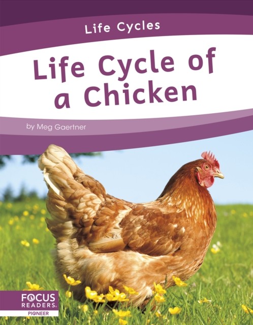 Life Cycles: Life Cycle of a Chicken by Meg Gaertner PAPERBACK 9781644938737