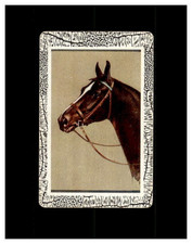 VINTAGE 1950,S SWAP PLAYING TRADING CARDS YOU PICK ANIMALS,DOG,CAT HORSE THEMED