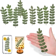 Natural Pressed Dried Leaves for Resin Crafts Embellishment, 42PCS Real Dry P...