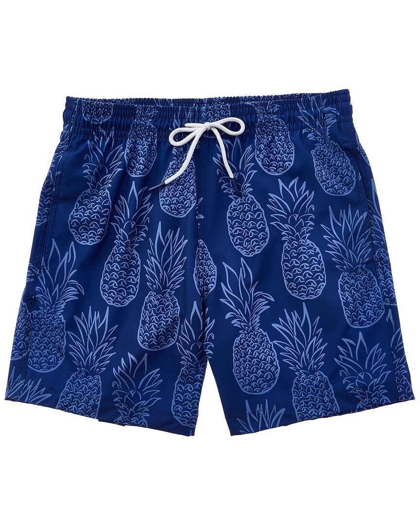 Плавки Surf - Swim Co. Мужские шорты для плавания Sano с рисунком ананаса