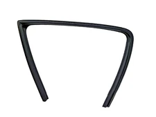 FORD OEM F-150 REAR LEFT DRIVER SIDE WINDOW RUN CHANNEL SEAL 2018-2019