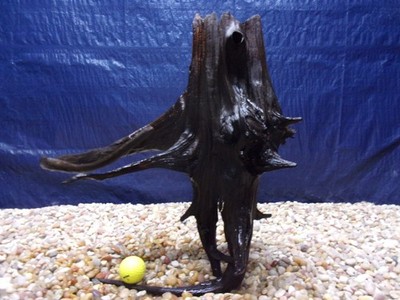 X-Large Driftwood 18''x15''x17'' Aquarium Terrarium Reptile Natural Art