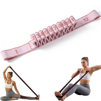 Fabric Resistance Bands for Working Out, Numbered 12 Section Stretching Strap...