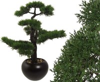 KüNstlicher Bonsai Zeder Ca. 60Cm Mit Keramiktopf Von Ibizanos