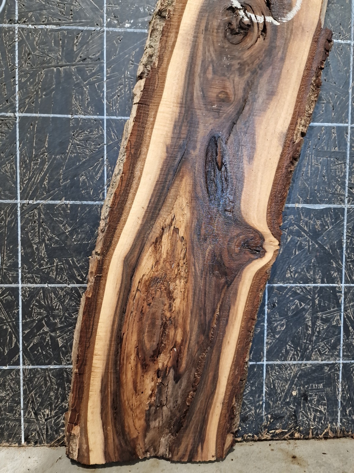 Picture 5 of 11
