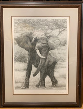 Elephant Signed Original Etching by Dennis Curry,  framed 28 x 36. EX