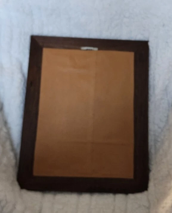 ARTE HOJA ENMARCADO VINTAGE Aprox 12 x 15 Foto 4 de 4