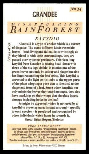 Grandee Disappearing Rain Forest 1991 - Katydid No. 14 - Picture 2 of 2