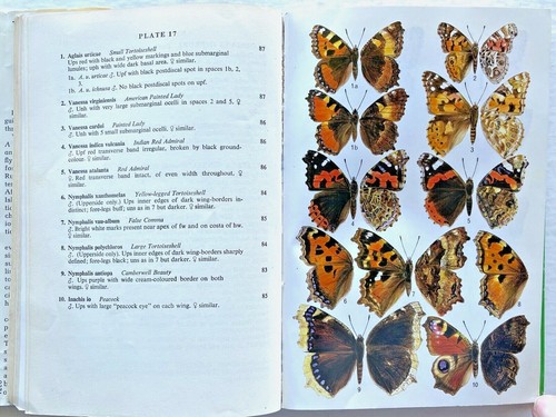 1970 1st Higgins/Riley FIELD GUIDE to BUTTERFLIES of BRITAIN/EUROPE 380pp SUPER! - Bild 9 von 12