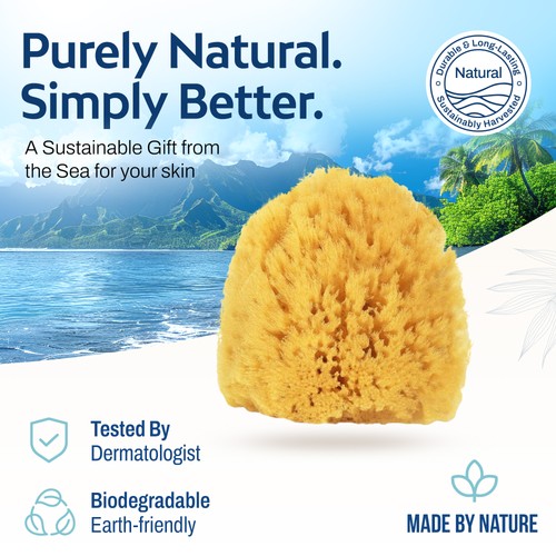 Caja de belleza de esponja marina exfoliante HartFelt - 2 esponjas marinas de hierba 4 pulgadas y bolsa de malla - Imagen 7 de 7