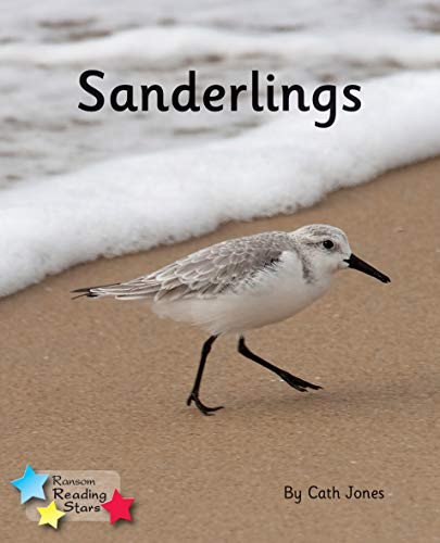 Sanderlings: Phonics Phase 4 (Reading S..., Jones, Cath - Picture 1 of 2