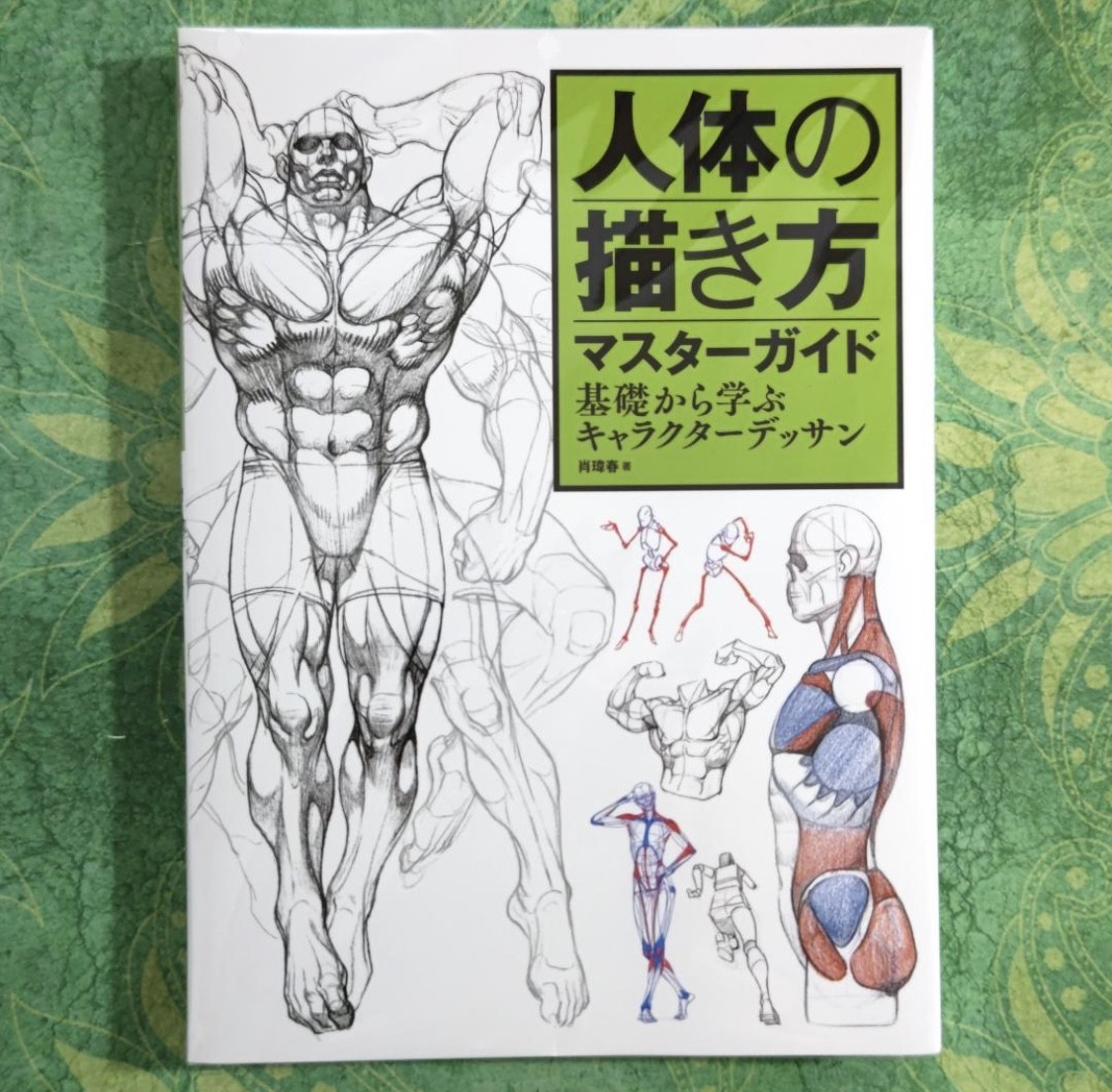 Master Guide to Drawing the Human Body - Character Drawing from the Basics Book
