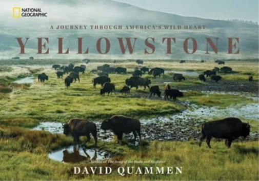 David Quammen Yellowstone (Copertina rigida)