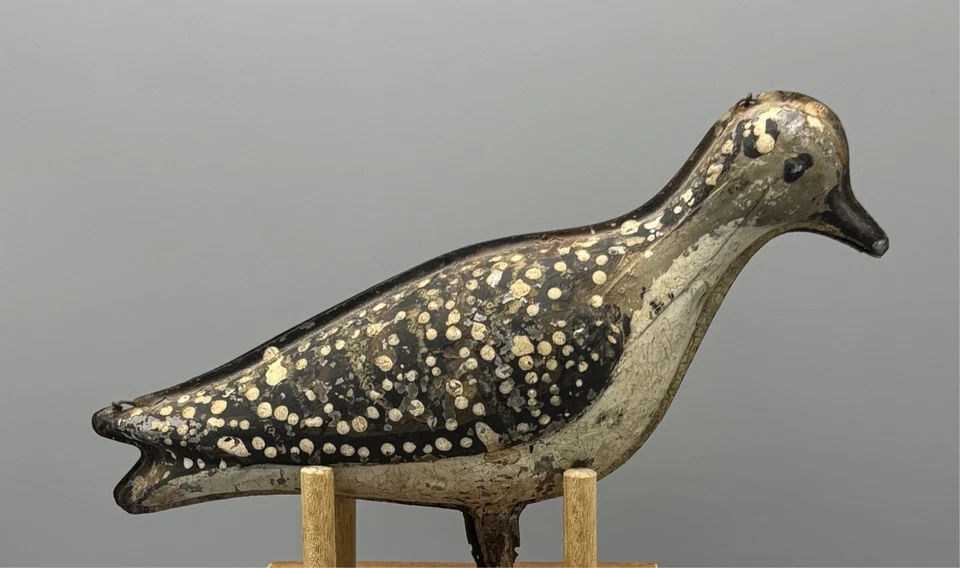 CA 1874 STRATER AND SOHIER PLOVER TINNIE 复古 SHOREBIRD 装饰 — 第 3/4 张图片