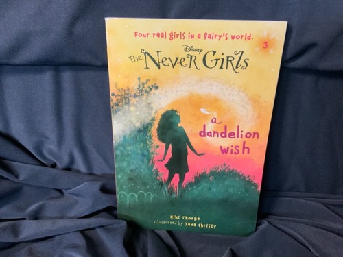 The Never Girls Collection #1 (Disney: The Never Girls): Books 1-4 - Picture 6 of 9