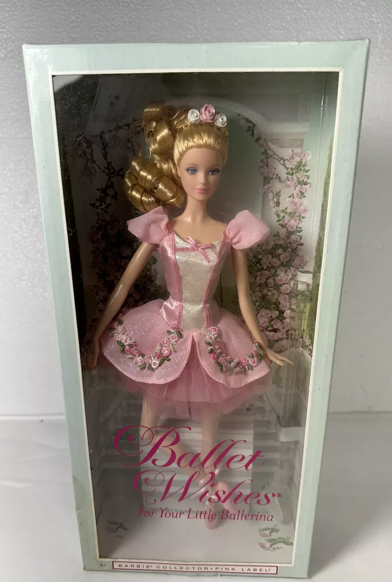 Barbie best sale ballet wishes