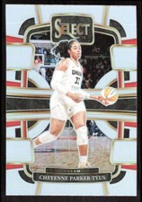 2024-25 4163E PANINI WNBA SELECT SILVER PRIZM CHEYENNE PARKER-TYUS Atlanta Dream