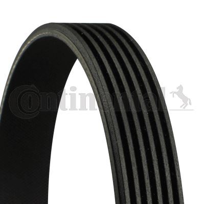COURROIE D'ACCESSOIRE JAGUAR X-TYPE I 2.5 V6 TRACTION INTéGRALE,2.1 V6