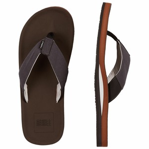 tortoise shell flip flops
