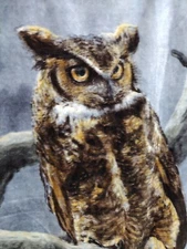 The Northwest Company  Owl "Supermoon" Plush Throw Blanket 48x60         JN1