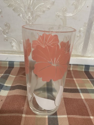 6 Vintage MCM Hibiskus Trinkgläser Blume Kraft emailliert schicke Schlücke Libbey