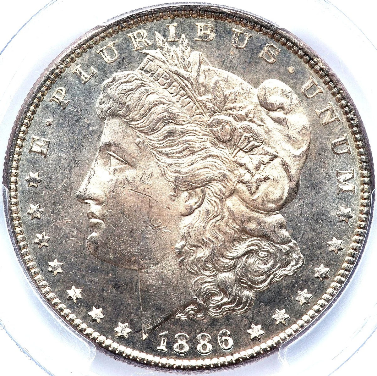 Deep Mirror Proof-Like MS 63 Graded Morgan US Dollars (1878-1921