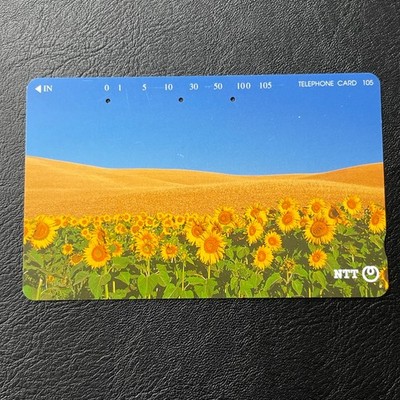 Phone Card Sunflower Field 105 231-303 Japanese from JAPAN NTT Telephone Card