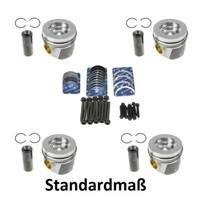 Kolbensatz STD + Lager FüR Audi Skoda Seat VW 2.0 TDI Golf 6 / 7CRL CUV CUU CRV