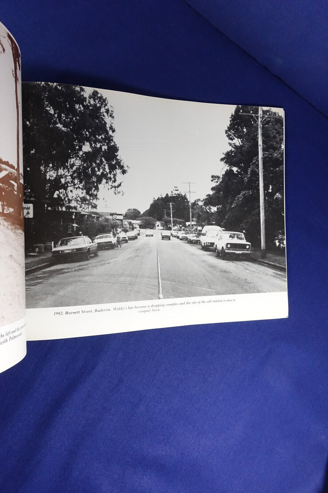 Picture 6 of 12