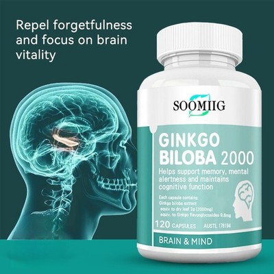 Ginkgo Biloba 2000mg Gingo Kapsel Gehirngesundheit Verbessern Konzentration 120