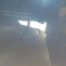 3B0823031K Fronthaube VOLKSWAGEN PASSAT (3B) 1.9 TDI SW 5p/d/1896cc