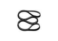 Bosch Keilrippenriemen 1 987 946 014 FüR BMW Ford Lancia Peugeot Audi Seat