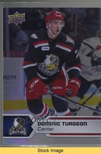 2017-18 Upper Deck AHL Rainbow Foil Dominic Turgeon #62 READ 0e3