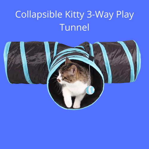 3-Way Tunnel For Cats, Small Dogs, Play Tube Interactive Toy - Picture 1 of 12