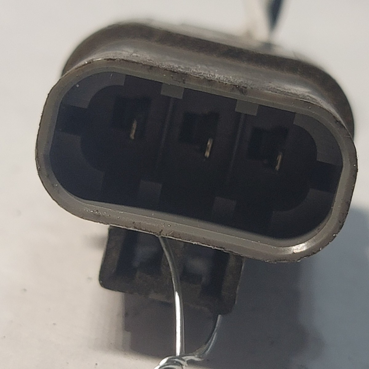 ⭐NOKO⭐ Shikanoko Nokonoko Koshitantan Anti Jedag Jedug - YouTube