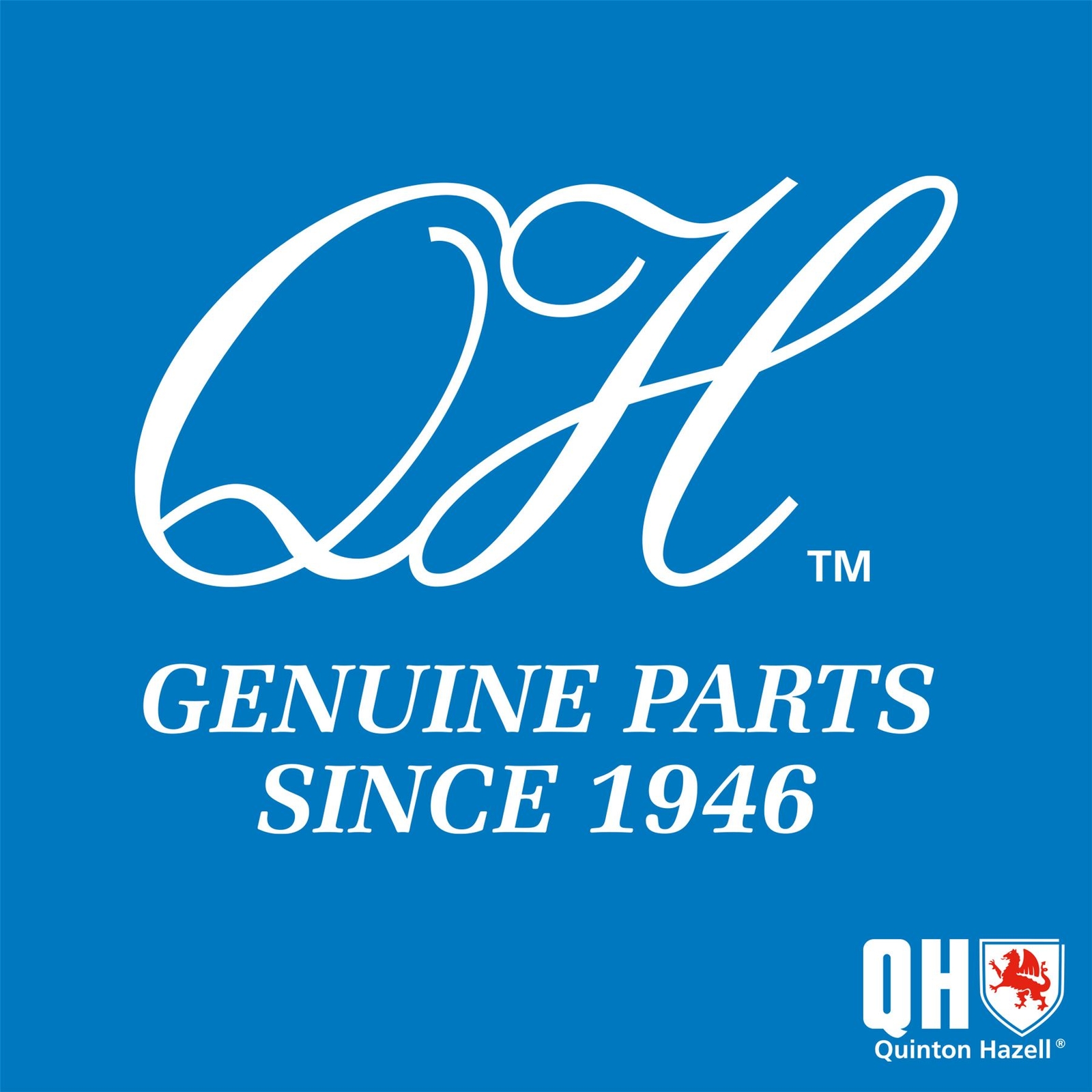 Coppia ammortizzatori QH per Ford KA foto 3