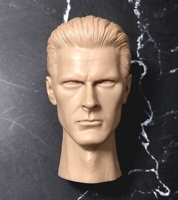 RARE 1/6 scale hot Resident Evil Albert Wesker action figure accessory toys head
