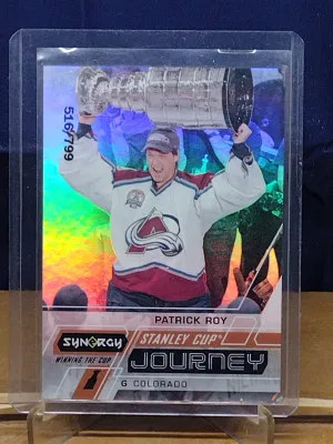 Patrick Roy