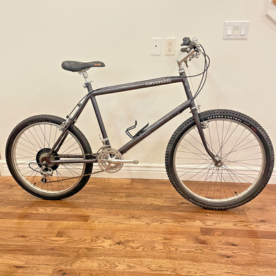 Vintage 1983 CANNONDALE 20