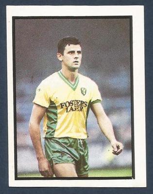 DAILY/SUNDAY MIRROR 1988 -#144-NORWICH CITY-BURNLEY-WAYNE BIGGINS
