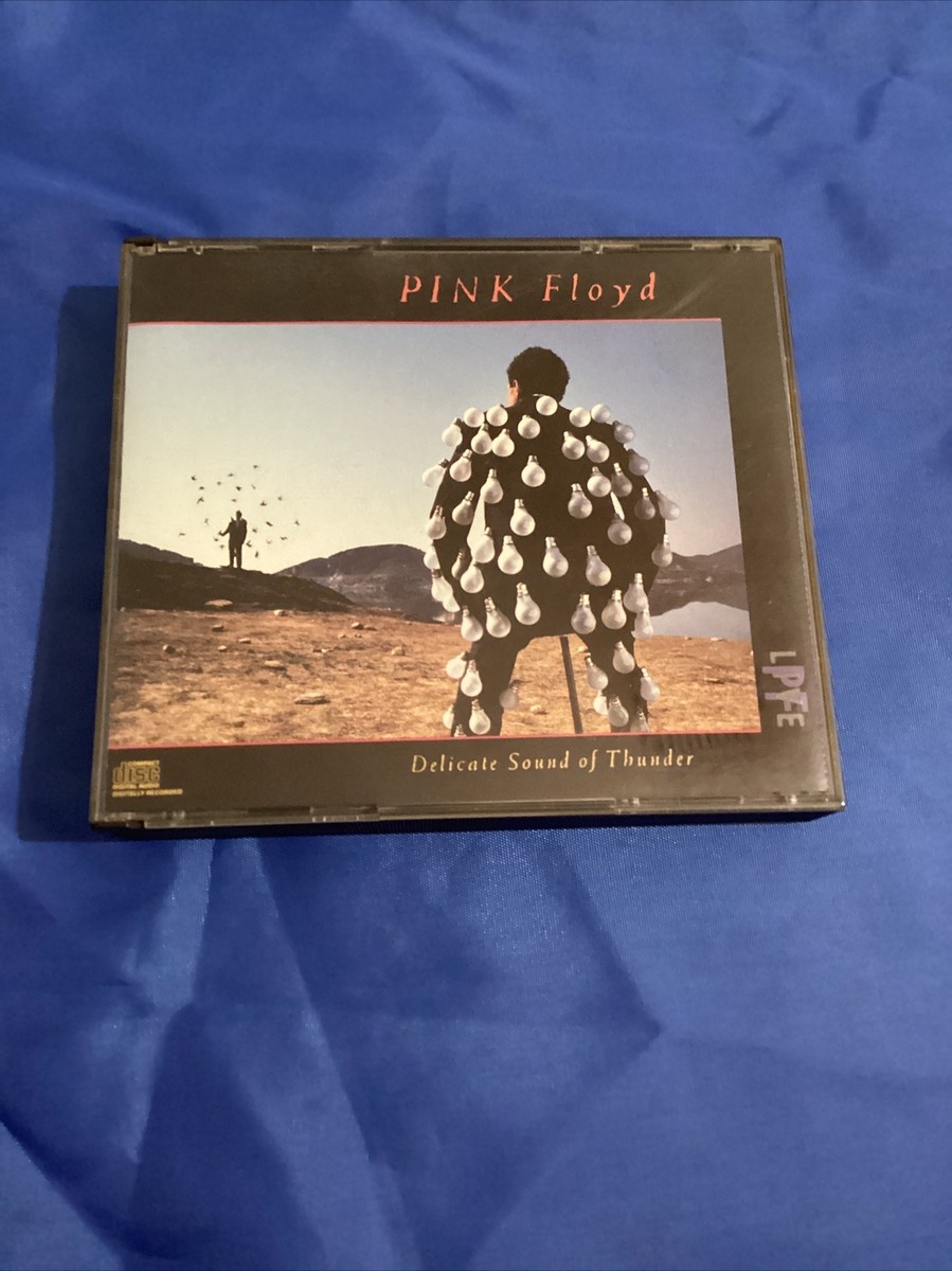 Pink Floyd, Delicate Sound Of Thunder, Contiene Dos Cds | eBay