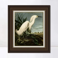Framed Canvas Art Print Snowy Heron or White Egret by John James Audubon 28"x32"