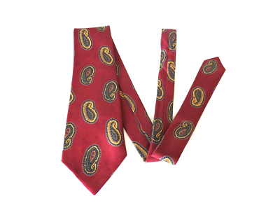 paisley tie for interview